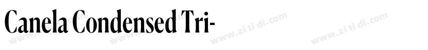 Canela Condensed Tri字体转换